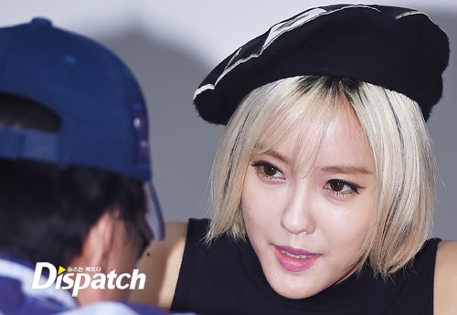 아이스팩트 이미지