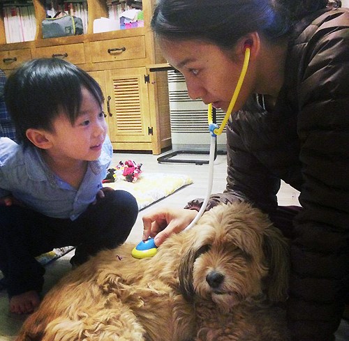 순심이 이미지