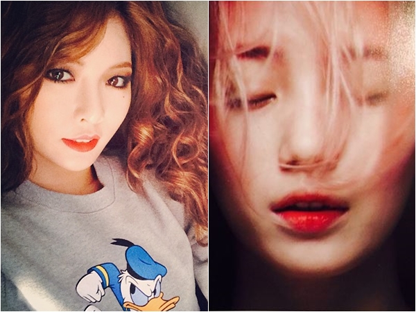 수지2 이미지
