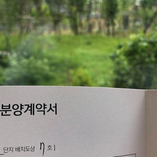 소유집 이미지