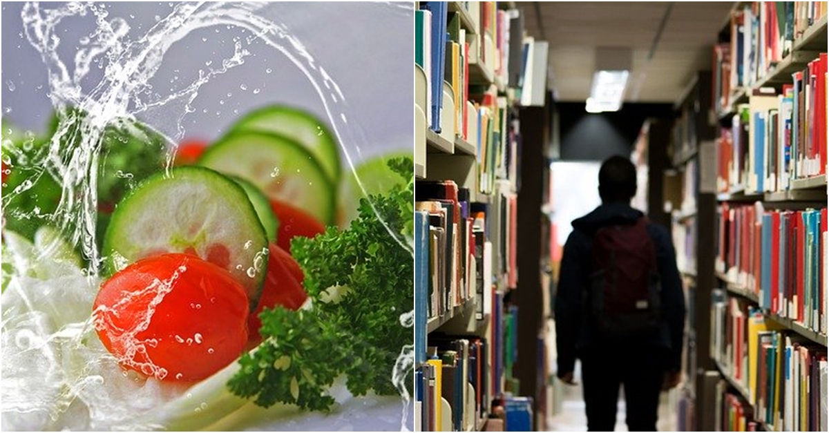 채식 확산에 대학가도 동참…시험기간 간식에 '비건메뉴' 포함 | 디스패치 | 뉴스는 팩트다!