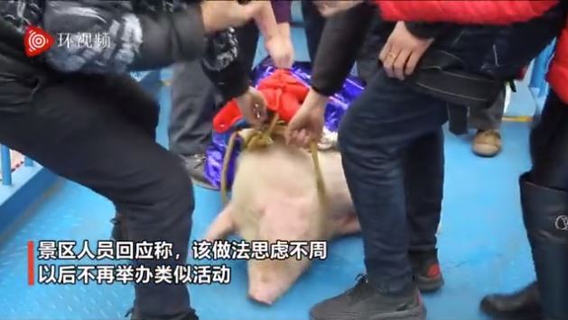 돼지발 이미지