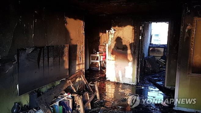 형동생 이미지
