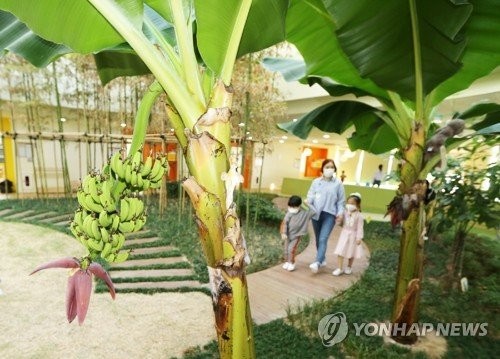 정원숲어린이집 이미지