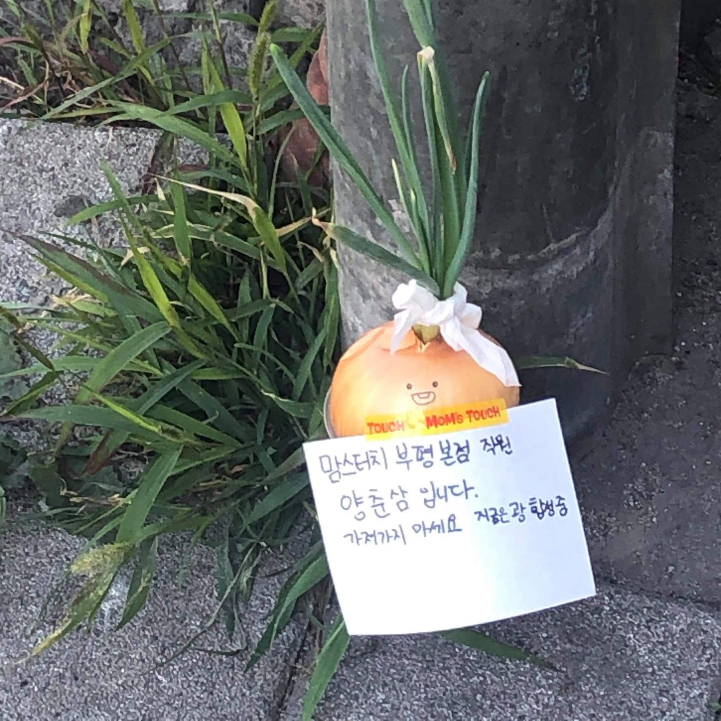 맘스터치부평 이미지