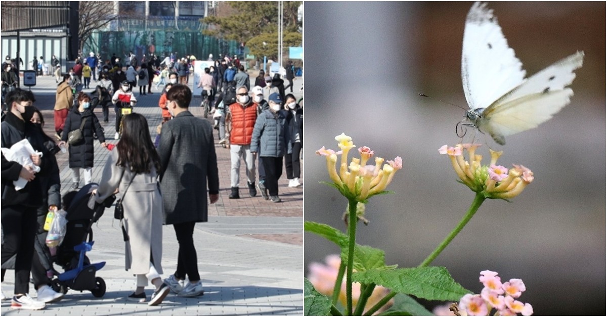 오늘날씨 전국 포근한 봄날씨…서울 12도·부산18도 | 디스패치 ...