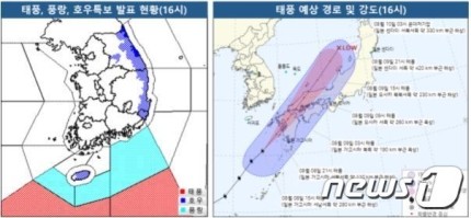 이루핏 이미지