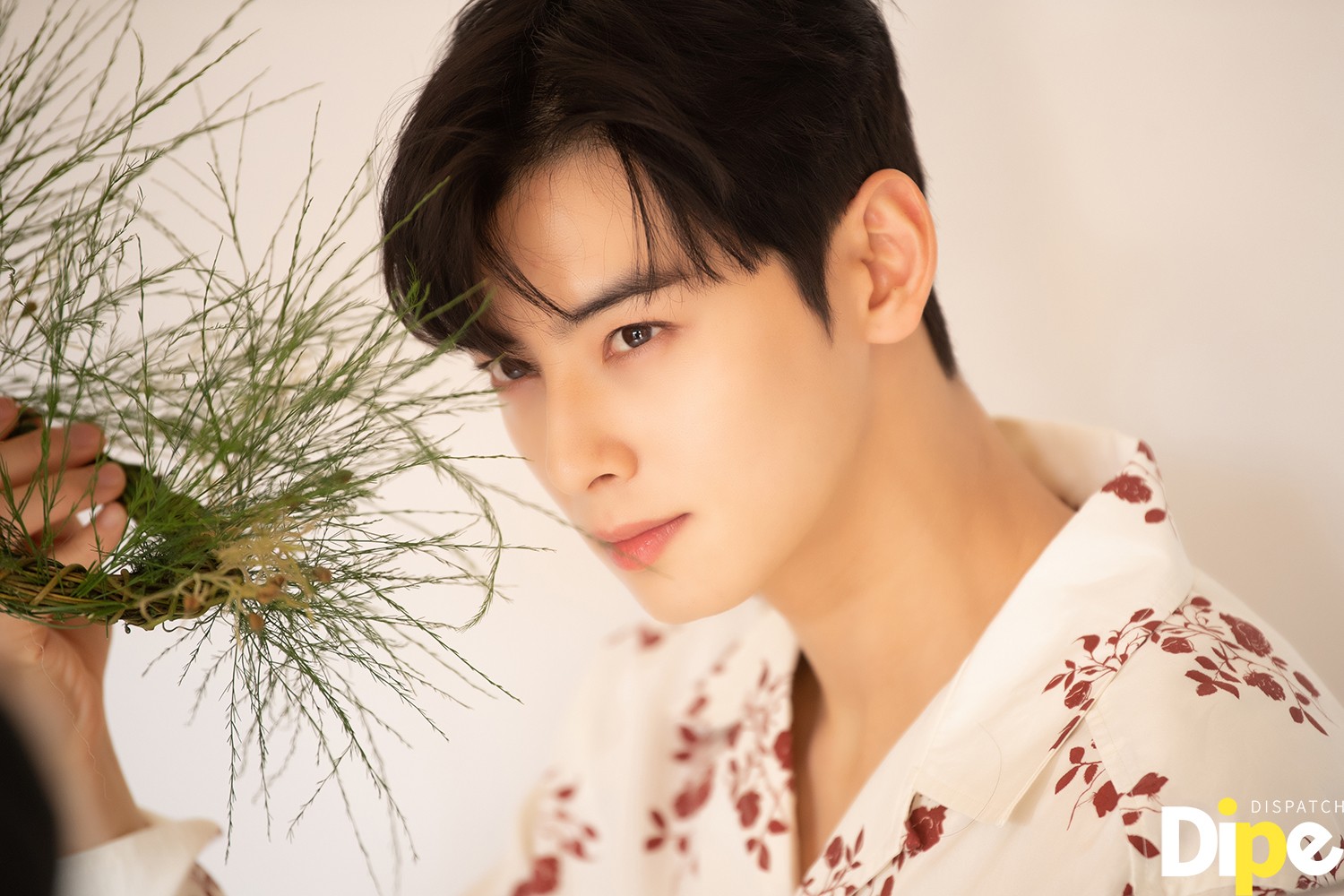 Hⓓ] Cha Eun Woo, and the Characteristics of Strikingly Handsome