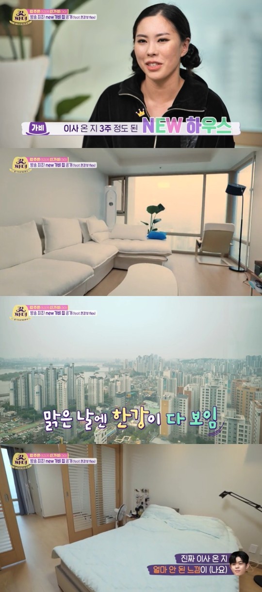 가비 이미지