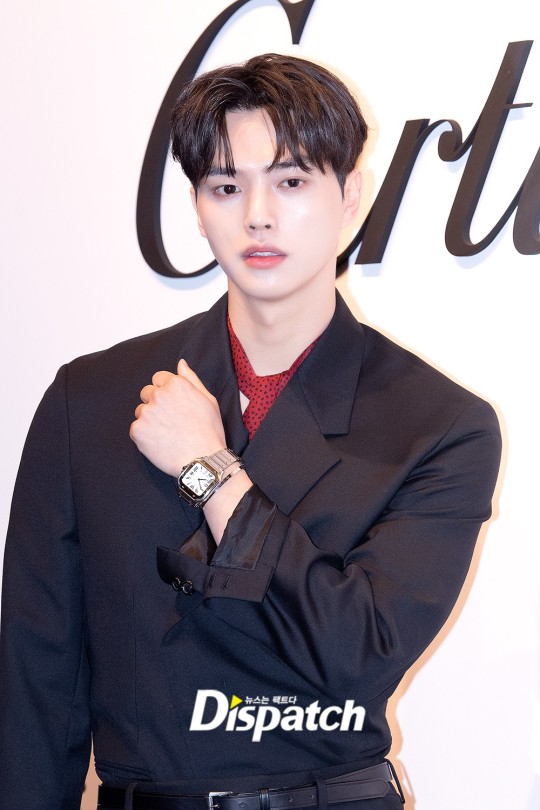 Blackpink's Jisoo, Song Kang And Seventeen's Mingyu Attend Cartier 