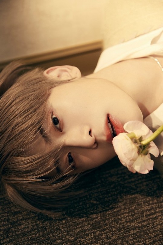 JAEHYUN Perfume MD 香水 15ml NCT DOJAEJUNG Official MD - DOJAEJUNG EAU DE PERFUME - Perfume