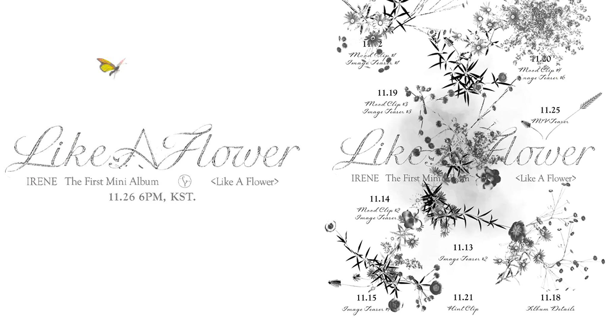 Irene Begins Solo Countdown DIPE CO KR irene-begins-solo-countdown-dipe-co-kr