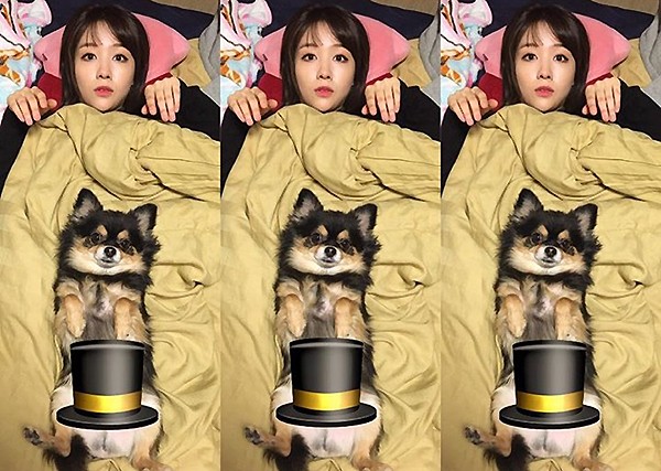 이리 이미지