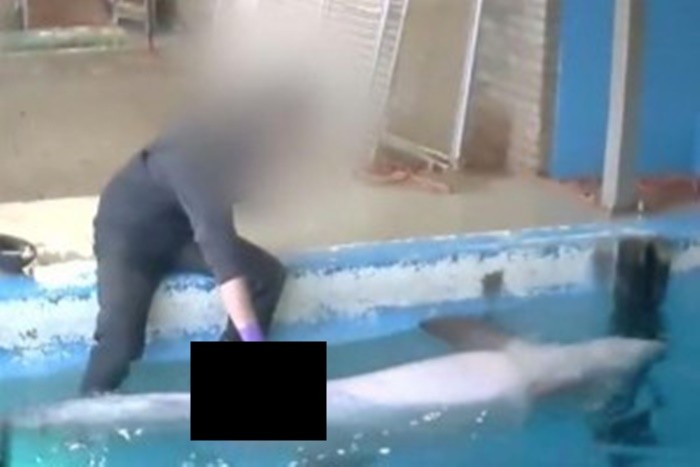 20160320175709_2016-03-19_06-56-26-300x2