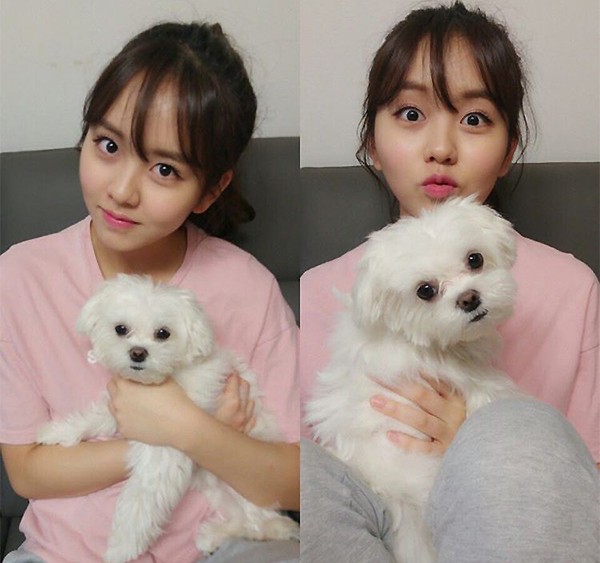 러블리핑크 이미지