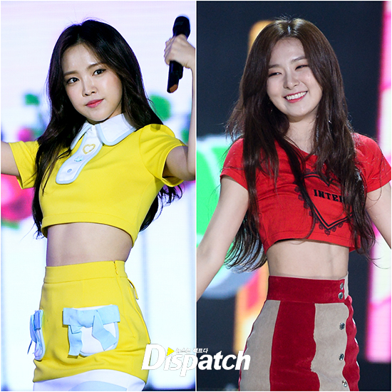개미광고 이미지