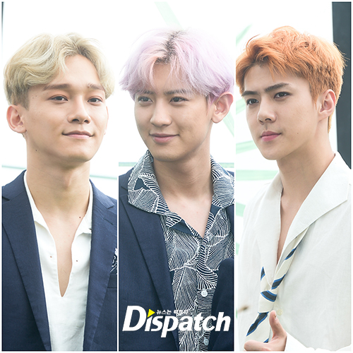 컬러풀헤어 이미지