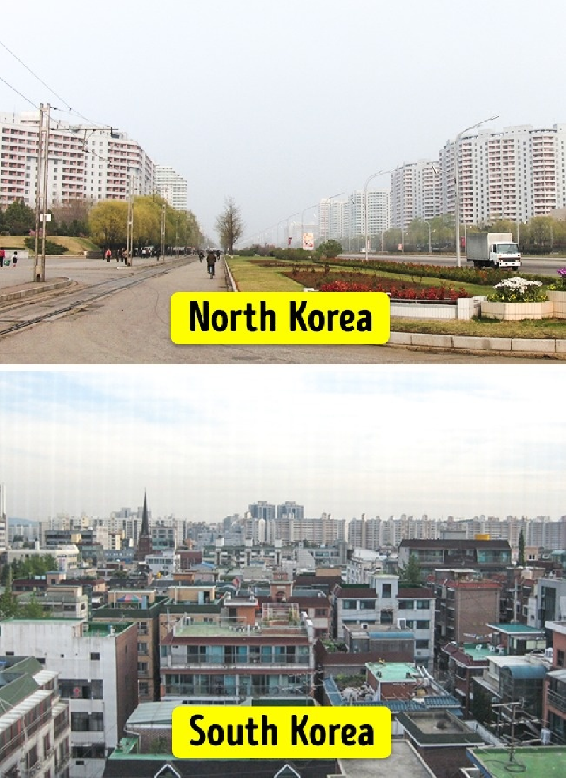 северная и южная корея сравнение на