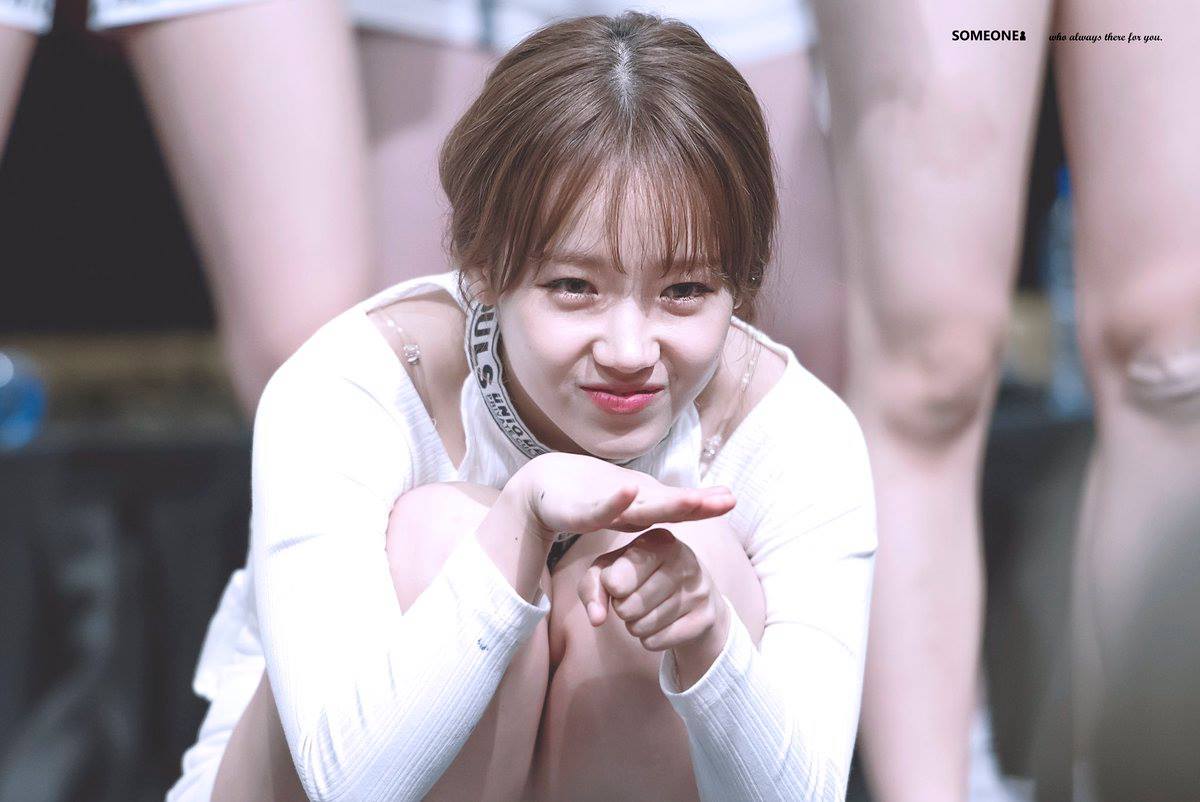 수화 이미지