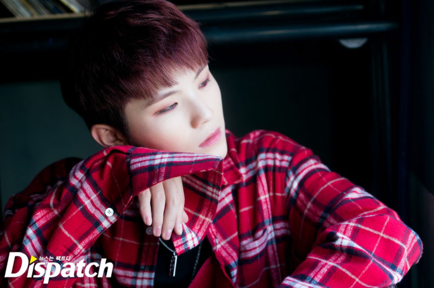 [DipeGo] A Look Into Seventeen's 