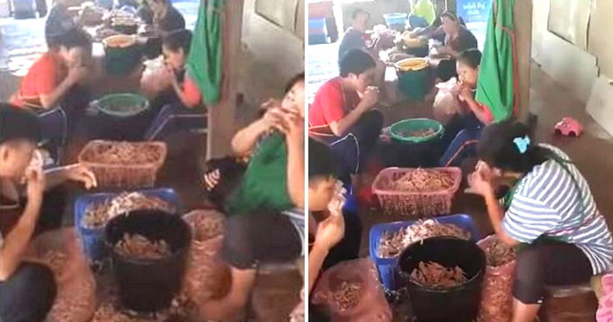 입으로 살만 발라내는 뼈 없는 닭발 제조과정 (영상) | Snsfeed 제휴콘텐츠 제공 '실시간 핫이슈'