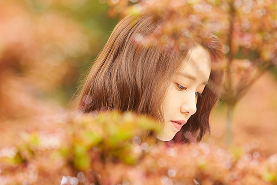 윤아분식 이미지