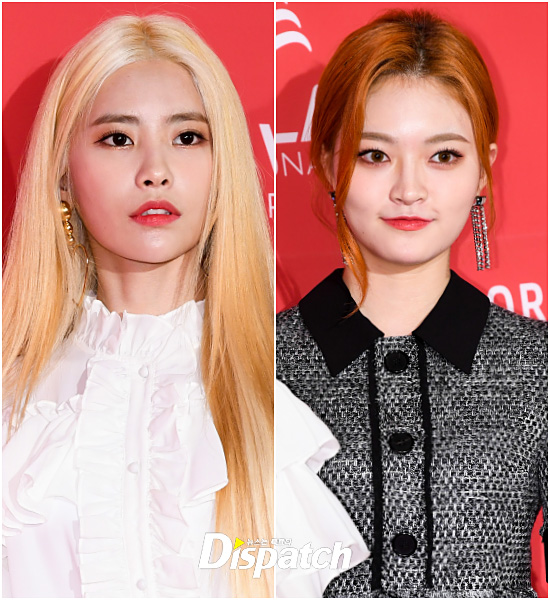 컬러풀헤어 이미지