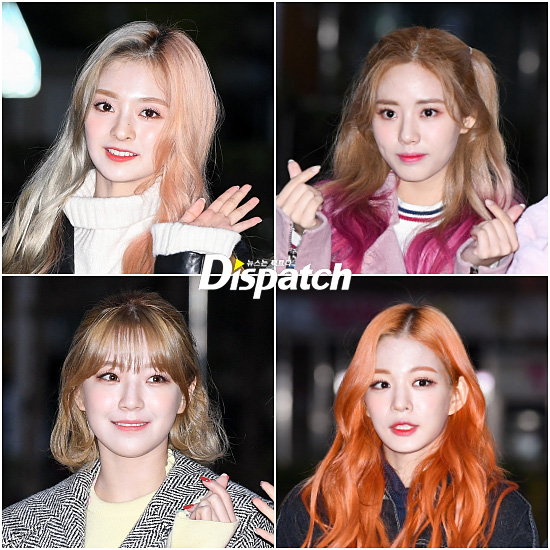 컬러풀헤어 이미지