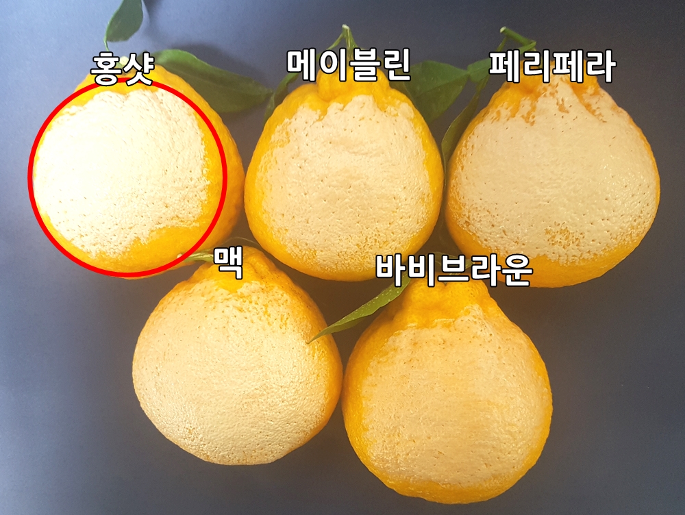 홍뷰티 이미지